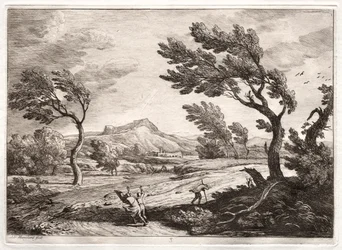 Landscape
