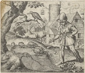 Fable of the Kite and the Cuckoo