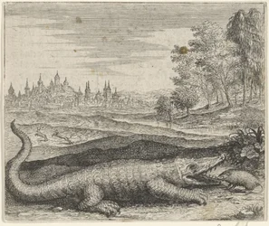 Fable of the Crocodile and Mongoose