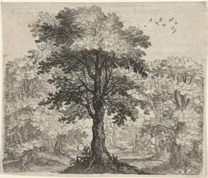Fable of the Elm and the Oak