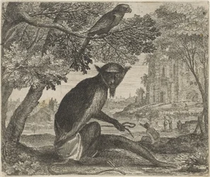 Fable of the Parrot and the Monkey