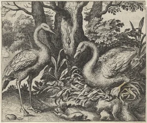 Fable of the Swan and the Stork
