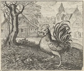 Fable of the Cock and the Diamond