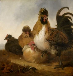 A Cock and Hens
