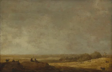 Flat Landscape