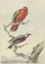 Two Birds, Including a Red-Green Parrot