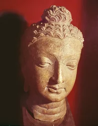 Head of Buddha, Greco-Buddhist style, from Hadda