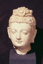 Head of a Buddha, Greco-Buddhist style, from Hadda