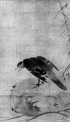 Crow on a Rock