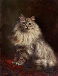 Persian Cat, c.1908-20