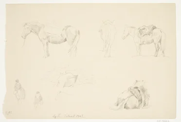 Study Sheet with Horses