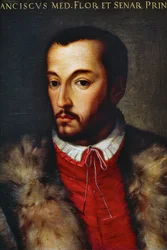 Portrait of Francesco I de Medici