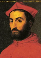 Portrait of Ippolito de Medici