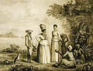 Fruit market of St. Vincent