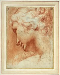 Head of a young woman looking down over her right shoulder