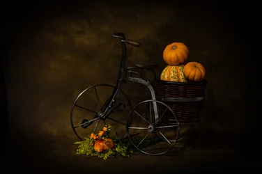 Vintage Tricycle Harvest
