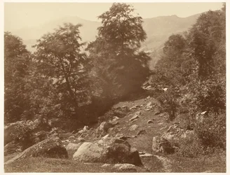 The Valley of Lys (Gust of Wind)