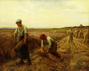 The Harvesters