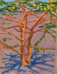 Acacia on the Savannah