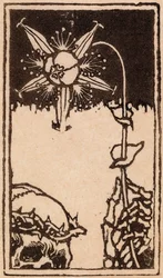 Death and the Flower