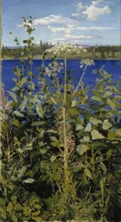 Wild Angelica