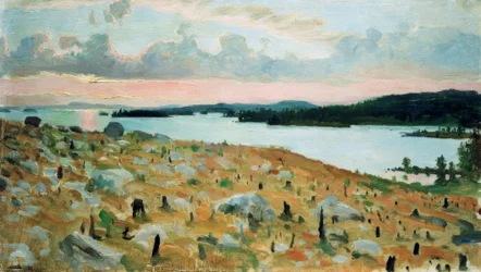Cleared Forest on the Shore of Lake Kallavesi