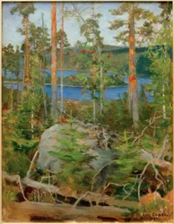 View of Lake Jamajärvi