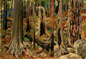 The Burnt Forest