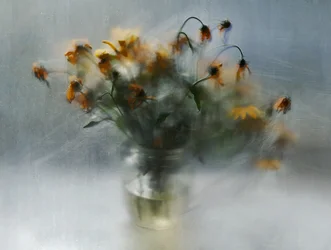 Dreamy Fading Flowers