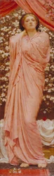 Blossoms
