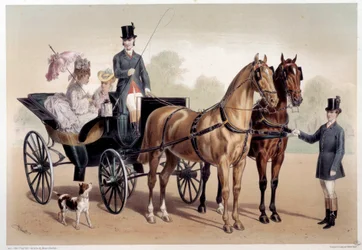 A horse carriage with Anglo-Norman horses. Print by Albert Adam, 19th century. Paris, Musee Carnavalet