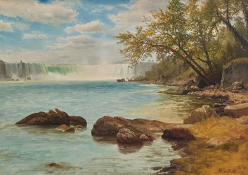Niagara Falls with Terrapin Tower