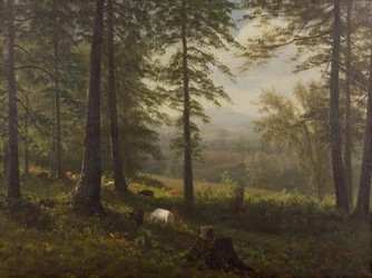 View to a Clearing