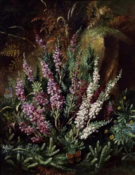 Still Life of Heather and Butterflies