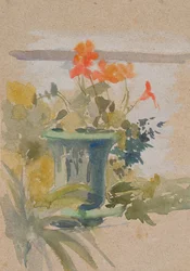 Pelargoniums on the Terrace