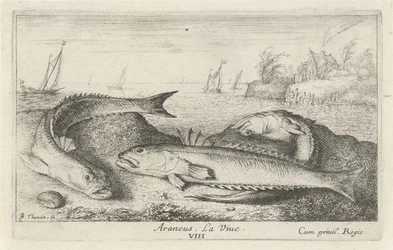 Three Spotted John Dories on the Beach