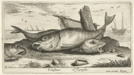 Three Haddocks on the Beach