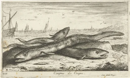 Three Eels on the Beach