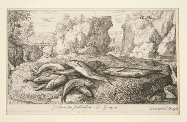 Gabius or Fundulus. The Gudgeon
