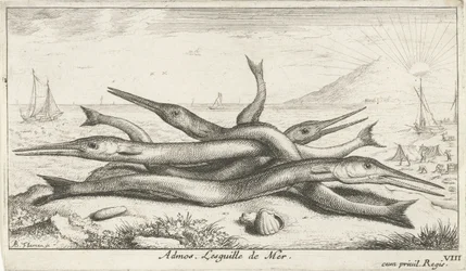 Pike on the Beach