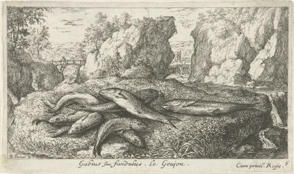 Gudgeons on a Riverbank