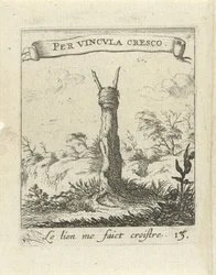 Landscape with Tree Stump