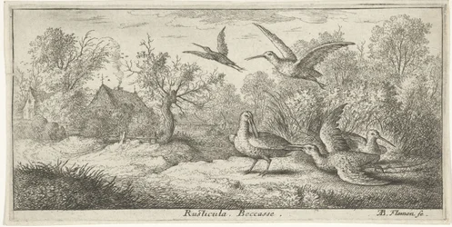 Landscape with woodcocks; Rusticula. Becasse. (title on object); Book of birds (series title); Livre d