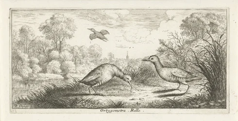 Landscape with Two Rails on a Shore (Bird Book)