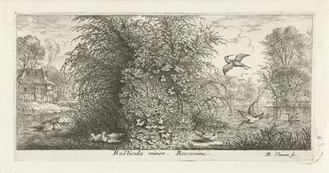 Landscape with Snipe