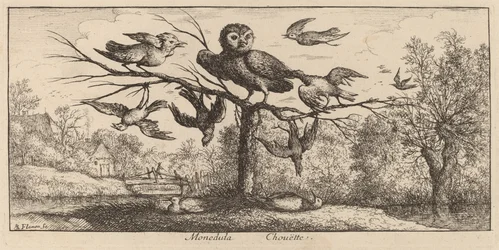 Monedula, The Owl