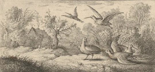 The Woodcock: Book of Birds, 1655-1660