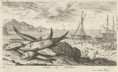Sardines on the Beach