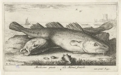 Two Codfish on the Beach