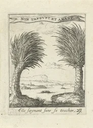 Two Palm Trees, Separate (Moralizing Love Emblems)